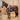 MHS Stable Blanket Crusader Plus 300gr