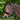 Nasen- oder Genickschoner