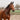 CORDE HALLSTER ENSEMBLE 2 COULEURS