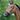 Maulkorb, Pony