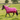 MHS Winter Blanket Jessy 300 Gram Removable Collar